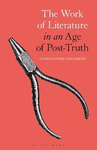 bokomslag The Work of Literature in an Age of Post-Truth