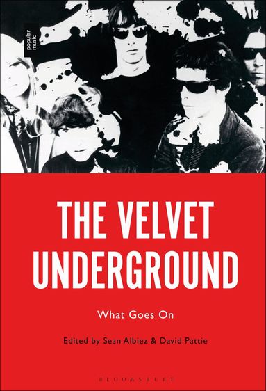 Sean Albiez, David Pattie - Velvet Underground, Inbunden