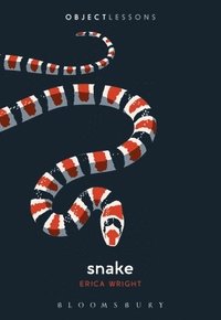 bokomslag Snake