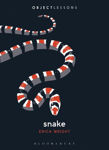 bokomslag Snake