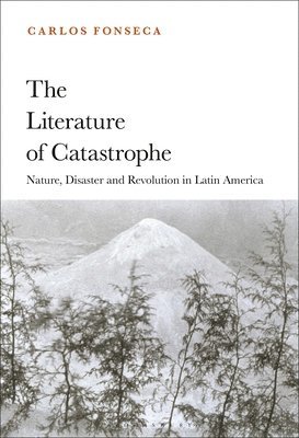 bokomslag The Literature of Catastrophe