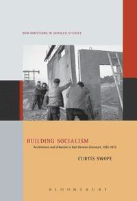 bokomslag Building Socialism