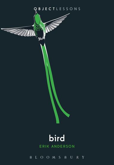 Erik Anderson, Christopher Schaberg, Ian Bogost - Bird, Häftad