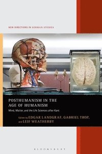 bokomslag Posthumanism in the Age of Humanism