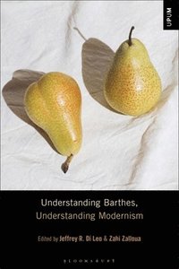 bokomslag Understanding Barthes, Understanding Modernism