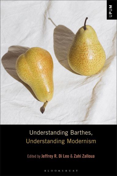 Jeffrey R. Di Leo, Zahi Zalloua - Understanding Barthes, Understanding Modernism, Inbunden