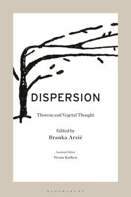 bokomslag Dispersion