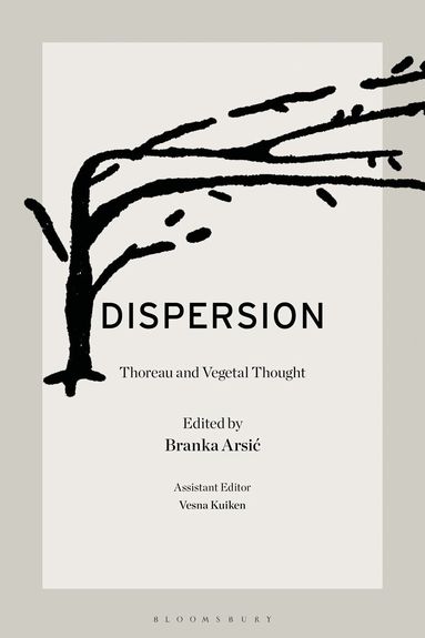 Branka Arsic - Dispersion, Häftad