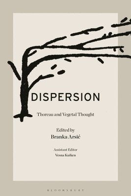 bokomslag Dispersion