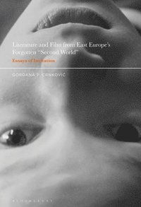 bokomslag Literature and Film from East Europes Forgotten &quot;Second World&quot;