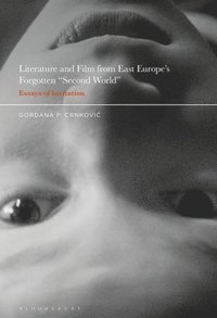 bokomslag Literature and Film from East Europes Forgotten &quot;Second World&quot;