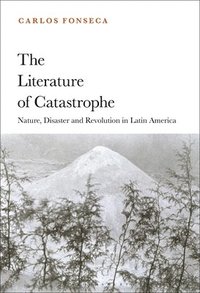 bokomslag The Literature of Catastrophe