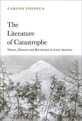 The Literature of Catastrophe 1