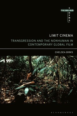 bokomslag Limit Cinema