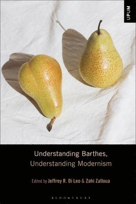 Understanding Barthes, Understanding Modernism 1