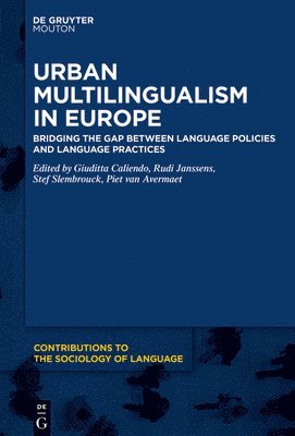 Giuditta Caliendo, Rudi Janssens, Stef Slembrouck, Piet Van Avermaet, Piet van Avermaet - Urban Multilingualism in Europe, Inbunden