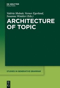 bokomslag Architecture of Topic