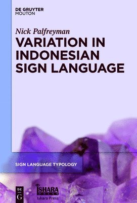 bokomslag Variation in Indonesian Sign Language