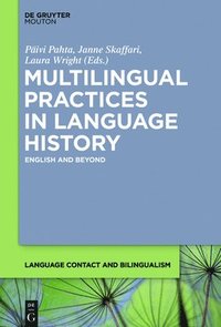 bokomslag Multilingual Practices in Language History