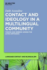 bokomslag Contact and Ideology in a Multilingual Community