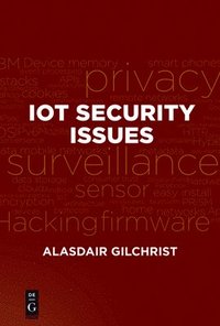bokomslag IoT Security Issues