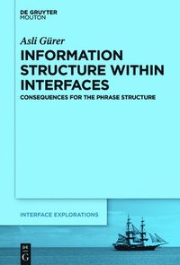 bokomslag Information Structure Within Interfaces