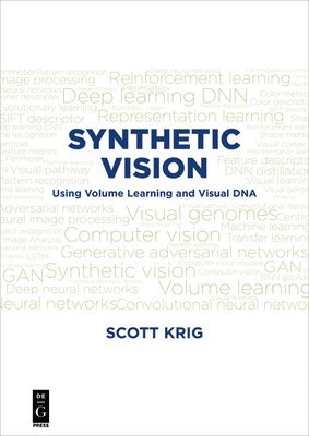 Synthetic Vision 1