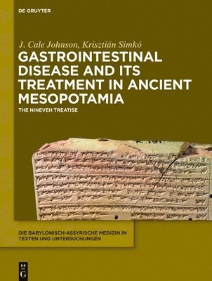 bokomslag Gastrointestinal Disease and Its Treatment in Ancient Mesopotamia