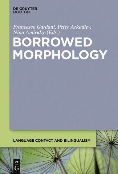 bokomslag Borrowed Morphology