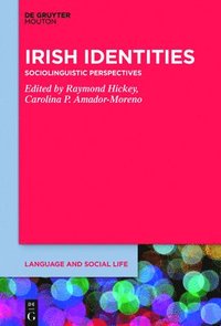 bokomslag Irish Identities