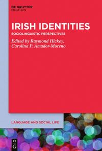 bokomslag Irish Identities