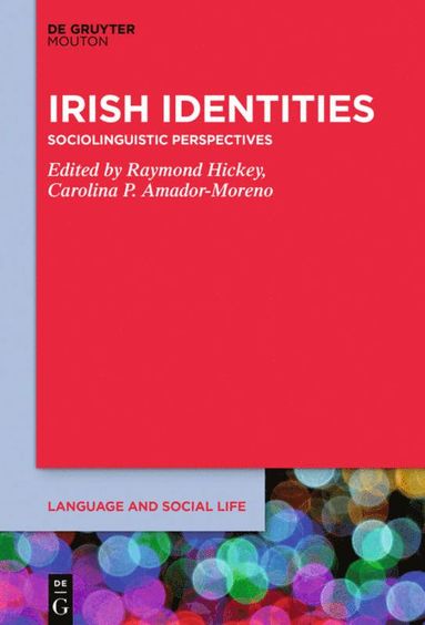 bokomslag Irish Identities