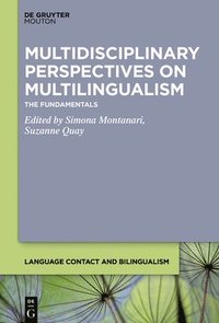 bokomslag Multidisciplinary Perspectives on Multilingualism