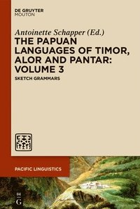 bokomslag The Papuan Languages of Timor, Alor and Pantar. Volume 3