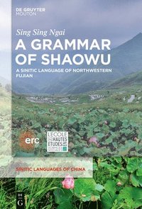 bokomslag A Grammar of Shaowu