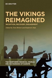 bokomslag The Vikings Reimagined