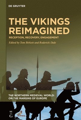 bokomslag The Vikings Reimagined