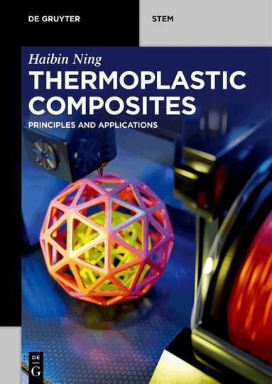 Haibin Ning - Thermoplastic Composites, Häftad