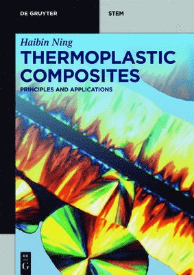 bokomslag Thermoplastic Composites