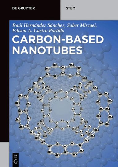 Raúl Hernández Sánchez, Saber Mirzaei, Edison Arley Castro Portillo - Carbon-Based Nanotubes, Häftad