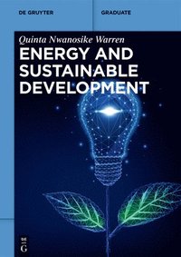 bokomslag Energy and Sustainable Development