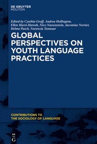 bokomslag Global Perspectives on Youth Language Practices