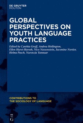 bokomslag Global Perspectives on Youth Language Practices