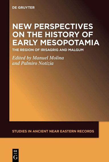 Manuel Molina, Palmiro Notizia - New Perspectives on the History of Early Mesopotamia, Inbunden