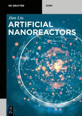 Artificial Nanoreactors 1