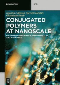 bokomslag Conjugated Polymers at Nanoscale