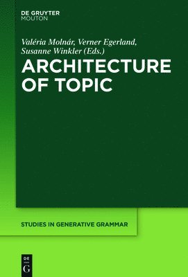 bokomslag Architecture of Topic