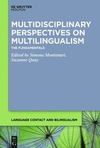 bokomslag Multidisciplinary Perspectives on Multilingualism