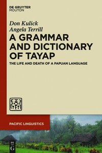 bokomslag A Grammar and Dictionary of Tayap
