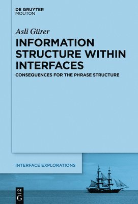 Asli Gürer - Information Structure Within Interfaces, Häftad